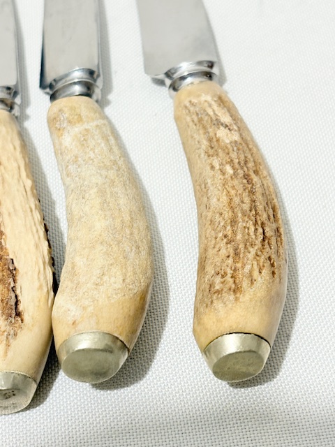 Set of 5 Antler Handle Steak Knives