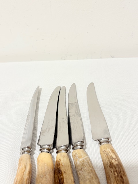Set of 5 Antler Handle Steak Knives