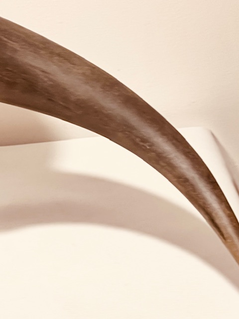 Decorative Antique Brass Mounted Cow Horn by WMF