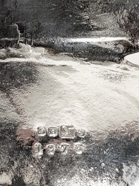 Antique Silver Plated Egg Cruet Antique Silver Plated Egg Cruet