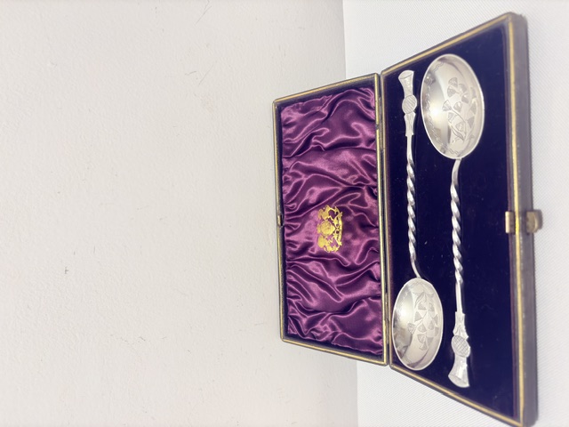 Boxed Pair of Silver Plated Jam or Serving Spoons